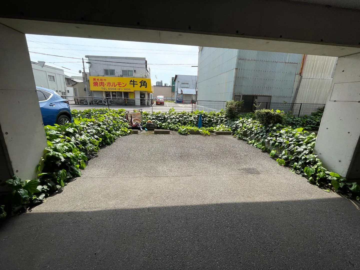 今回はマンションの植栽等の伐採をし、土間打ちを行いました。