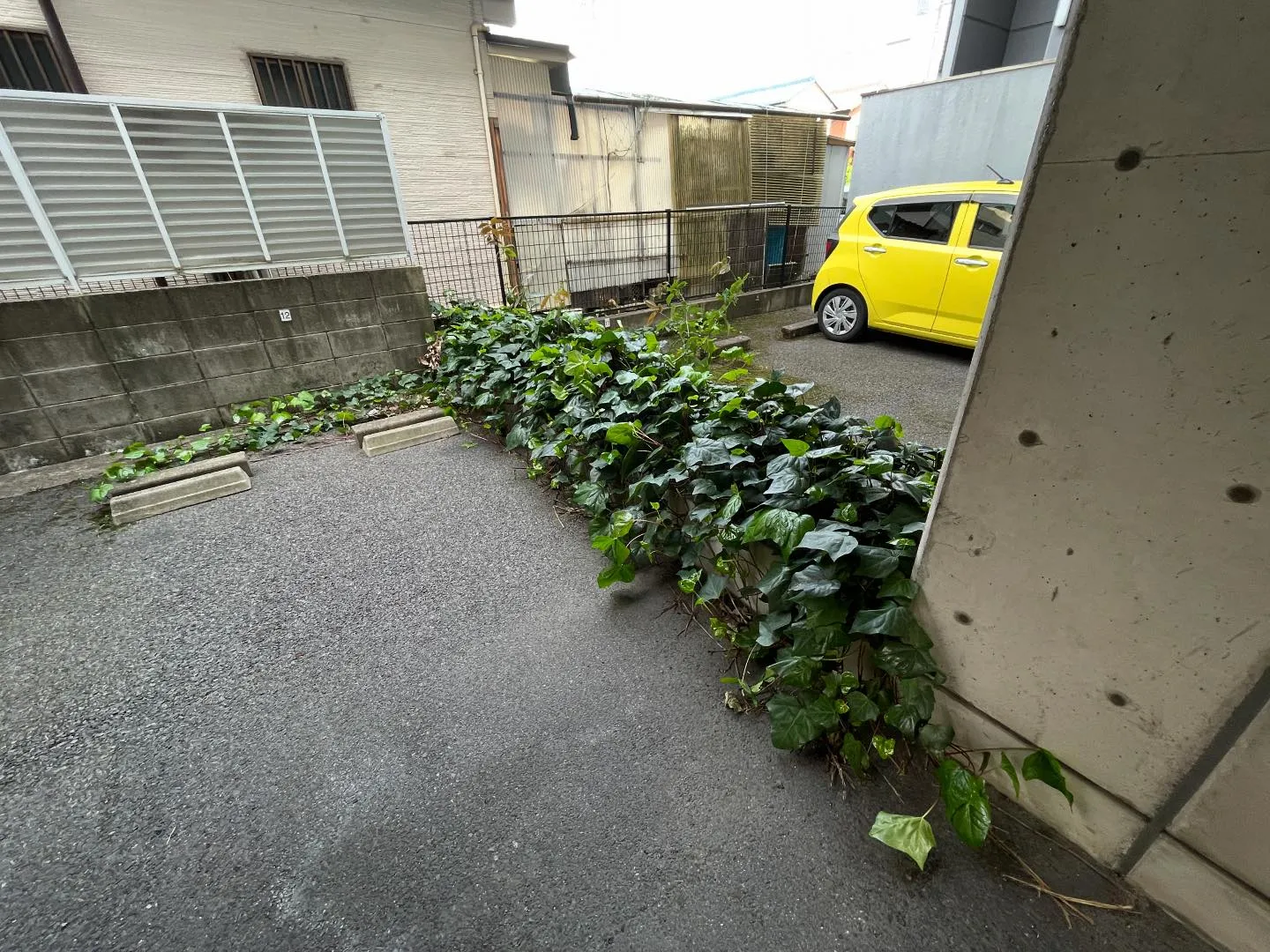 今回はマンションの植栽等の伐採をし、土間打ちを行いました。